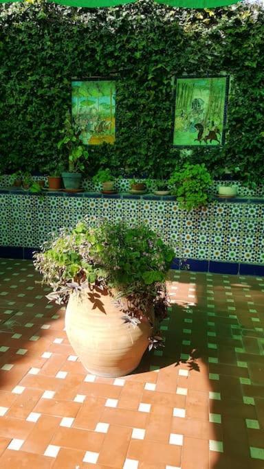 Sevilla A Tus Pies Mairena del Aljarafe Bagian luar foto