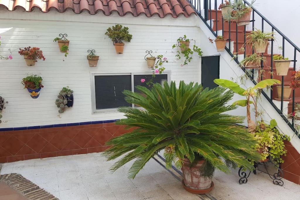 Sevilla A Tus Pies Mairena del Aljarafe Bagian luar foto